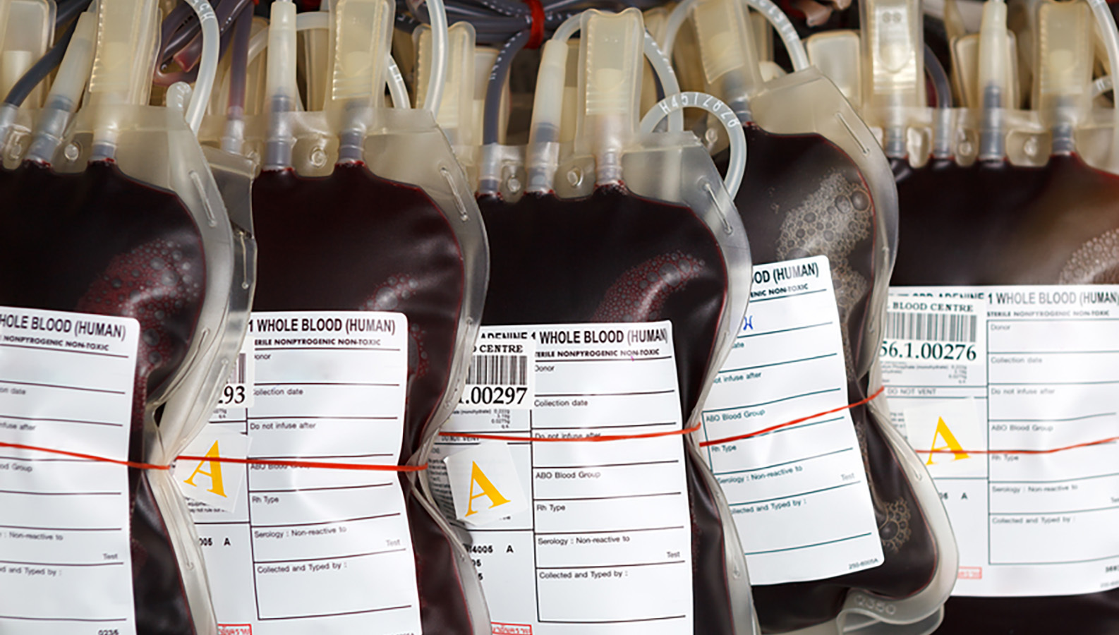 В России усовершенствуют правила обращения донорской крови
