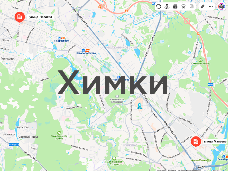 Два Чапаева, или География как приговор